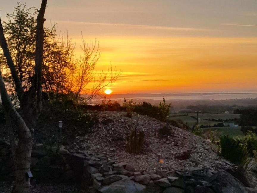 Hotel Fairy Cove At Rosemount Glamping Carlingford Exterior foto